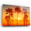 Golden Hour Palms
