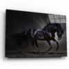 Black Adult Horse